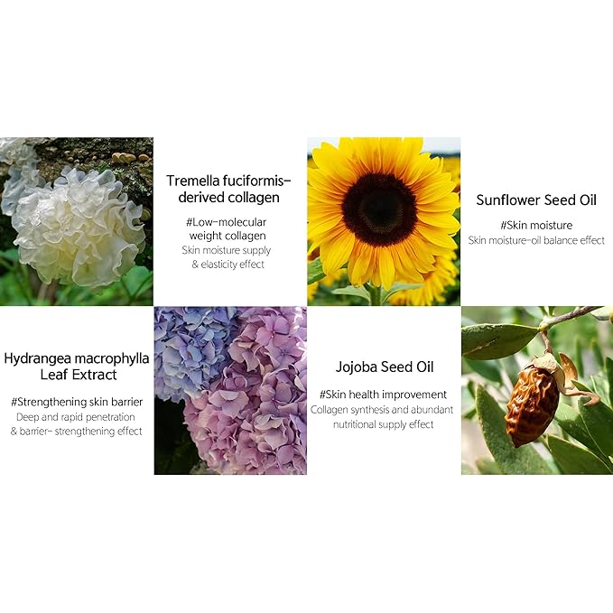 LALACHUU Glow Mist Serum – Hydrating & Soothing Face Mist Artemisia, Centella Asiatica, Evening Primrose, Korean Skin Care, Made in Korea, for Sensitive Skin (Intensive, 3.38 oz)