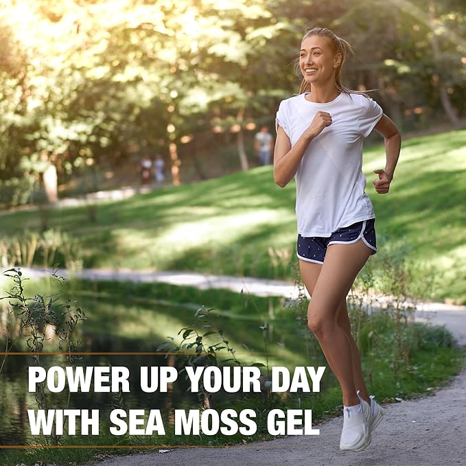 Biolore Sea Moss Gel - Shilajit 16oz, Wildcrafted Irish Seamoss with Essential Vitamins & Trace Minerals, Vegan Superfood Made in USA