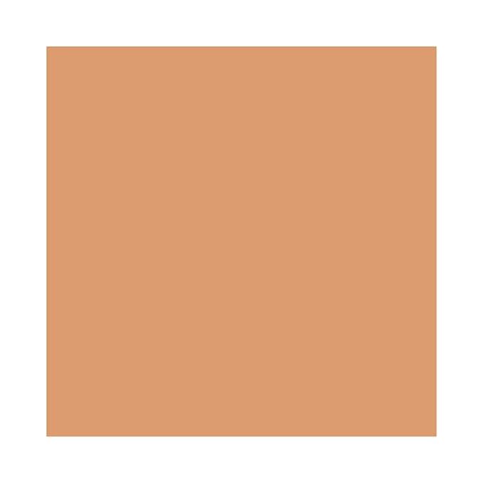 M.A.C. Studio Waterweight SPF 30 Foundation, NC42, Unisex, Skin Foundation Concealer