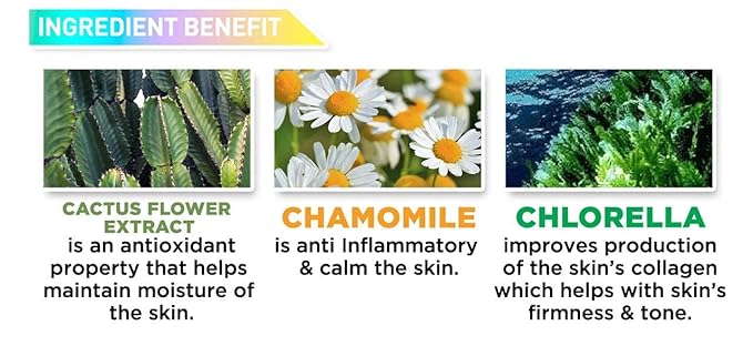 J.CAT BEAUTY Aquasurance Compact Foundation - Honey