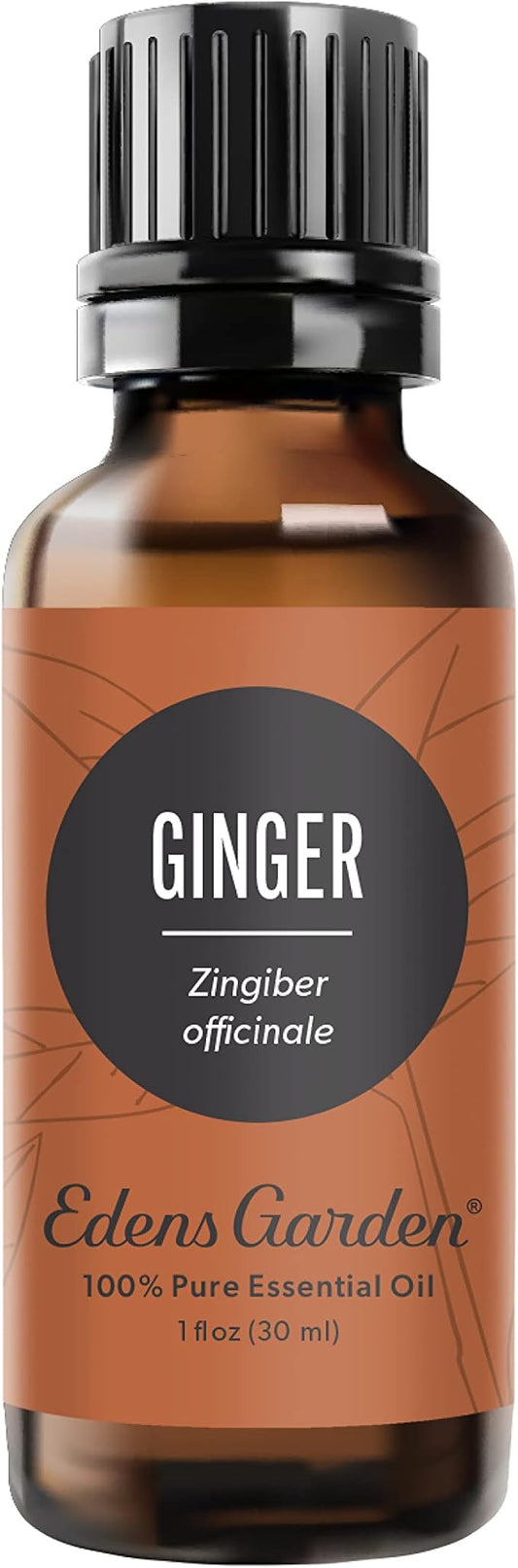 Edens Garden Ginger Essential Oil- 100% Pure Premium Grade, Undiluted, Natural, Therapeutic, Aromatherapy, The Best for Diffuser, Skin, Candle, Kid Safe 30 ml (1 fl oz)