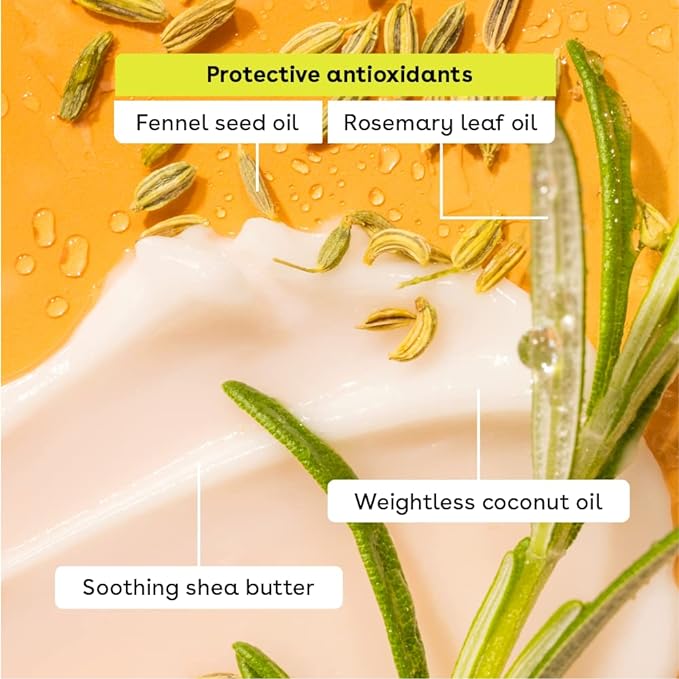 EOS Limited Edition Holiday Lip Balm Variety Pack, 100% Natural & Organic, All-Day Moisture, Made for Sensitive Skin, 0.14 oz, 4-Pack, Clear