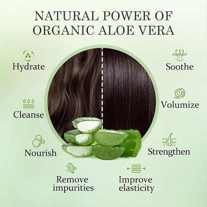 Aloderma Aloe Volumizing Shampoo for Fine, Brittle, & Thinning Hair - Featuring Freshly Harvested Organic Aloe Vera Infused with Arginine & Panthenol - Alcohol, Parabens, Mineral Oil Free - 16oz