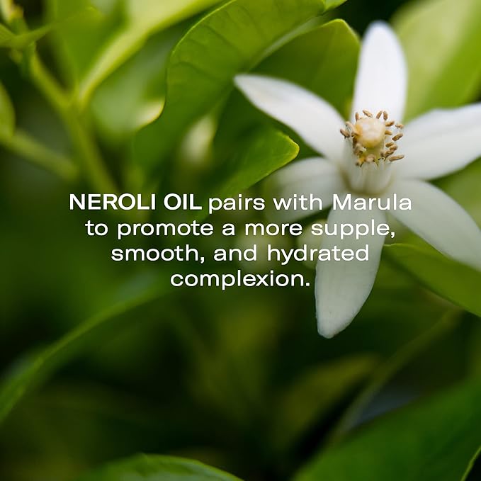 Odacité Anti Aging Serum Concentrate with Marula + Neroli, Elasticity Glow Recipe - Facial Oil for Hydration, Skin Texture & Visibly Smoother and More Supple Skin, 0.17 fl. oz