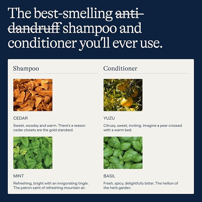 Flakes Anti Dandruff Shampoo and Conditioner Set | Dry, Flaky, & Itchy Scalp Shampoo | Sulfate & Paraben Free for Healthy Hair | Hydrating Shampoo & Moisturizing Conditioner for Scalp Care | 9 fl oz