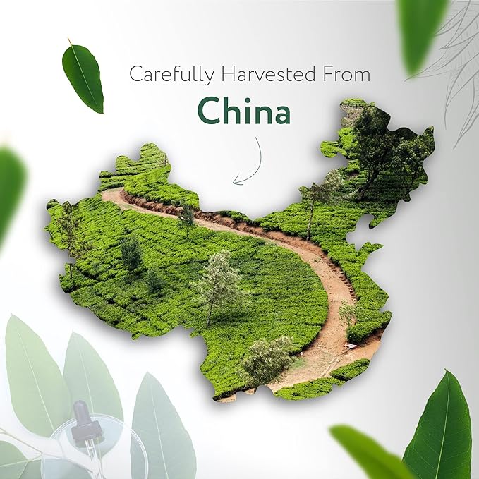 HBNO California Bottled Eucalyptus Essential Oil for Diffuser 4 fl oz (120ml) - Perfect Eucalyptus Oil Essential Oil for Aromatherapy & DIY