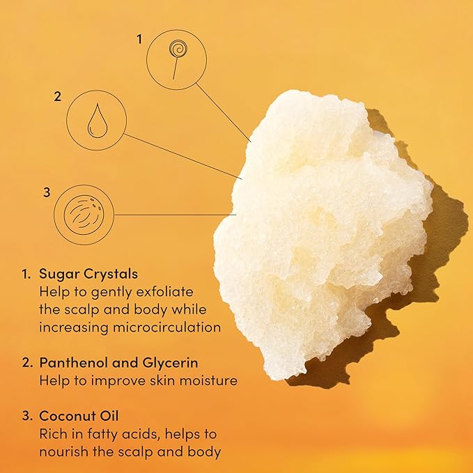 OUAI Scalp & Body Scrub, St. Barts - Exfoliating Body Scrub with Sugar & Coconut Oil Blend for Smooth, Moisturized Skin - Gentle Scalp Exfoliator for Removing Product Build Up (8.8 Oz)