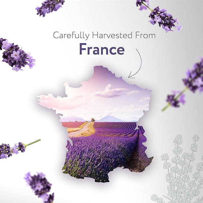 HBNO Lavender Dutch Oil - 32 oz (950 ml) Large Size - Ideal for Shampoos, Conditioners, Mouth Washes, Face wash, Lotions, and Skin Care Products (Glass Bottle).