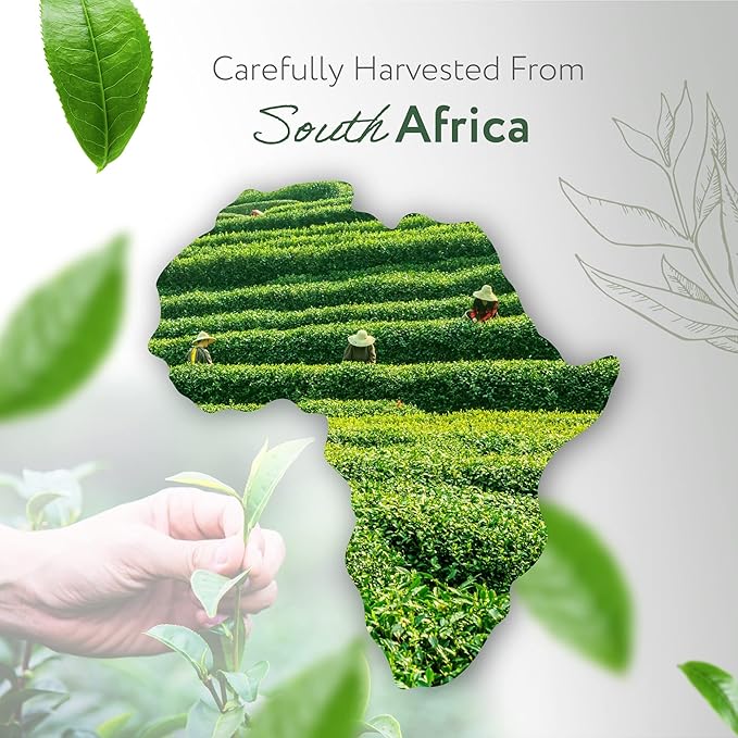 HBNO Tea Tree Oil for Skin 4oz (120 ml) - Bring Refreshing Aroma of Tea Trea Essential Oil - Perfect for Skin Therapy