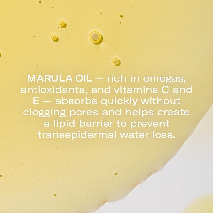 Odacité Anti Aging Serum Concentrate with Marula + Neroli, Elasticity Glow Recipe - Facial Oil for Hydration, Skin Texture & Visibly Smoother and More Supple Skin, 0.17 fl. oz