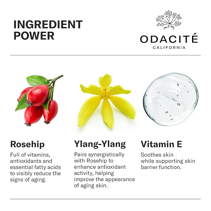 Odacité Anti Aging Serum Concentrate with Rosehip + Ylang-Ylang - Lightweight Facial Serum For Mature Skin, Fine Lines, Nourishes for Look of Plump, Youthful Skin - 0.17 Fl. Oz