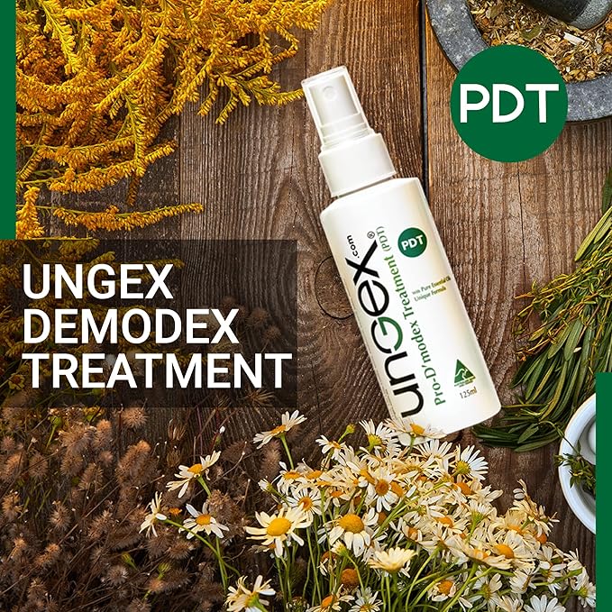 Basic Kit-i | Demodex Solution For Acne Rosacea, Itchiness, Redness | Ungex