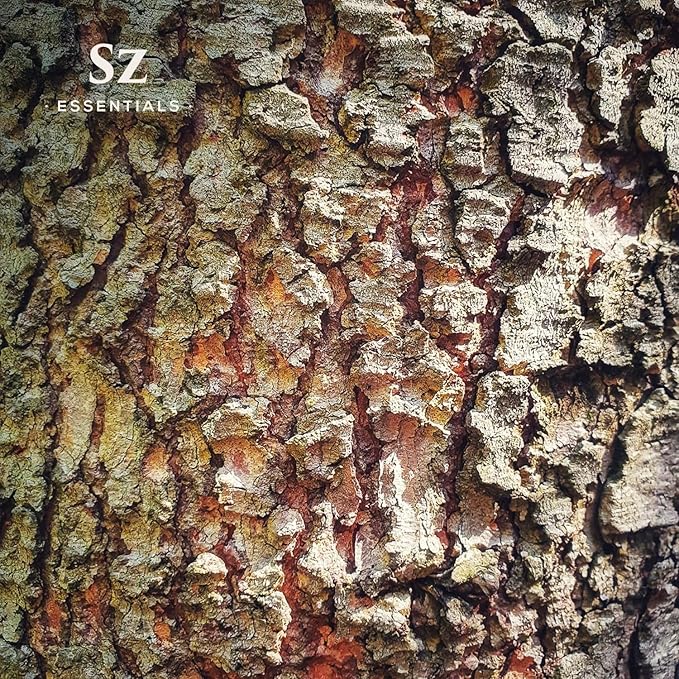 Cedarwood Essential Oil (Cedrus Atlantica) – Therapeutic Grade, 100% Pure & Natural with Soothing Woodsy Aroma for Relaxation, Aromatherapy, Skin Care & Diffuser - 0.17 fl oz. (5ml)